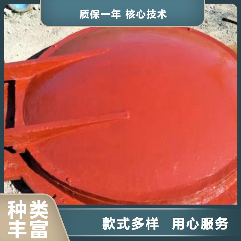 拍门厂家直销规格多样