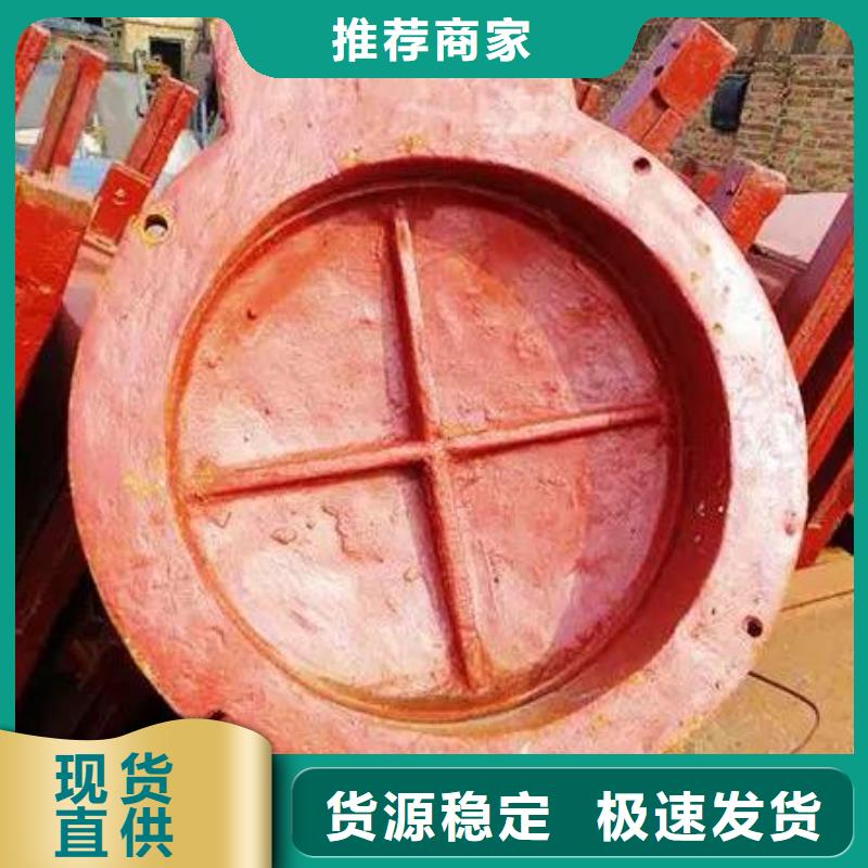 拍门_卷扬启闭机诚信商家