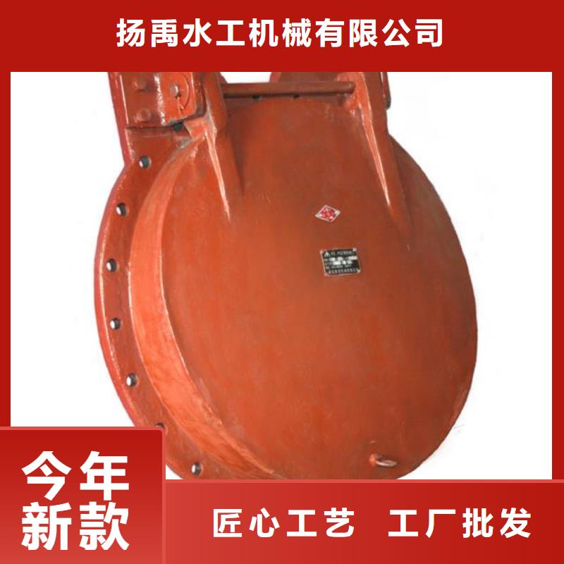 铸铁拍门DN600公司