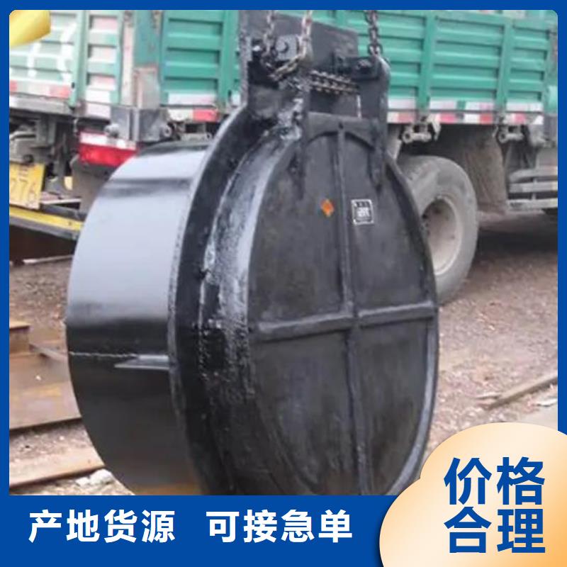 拍门-螺杆启闭机可定制