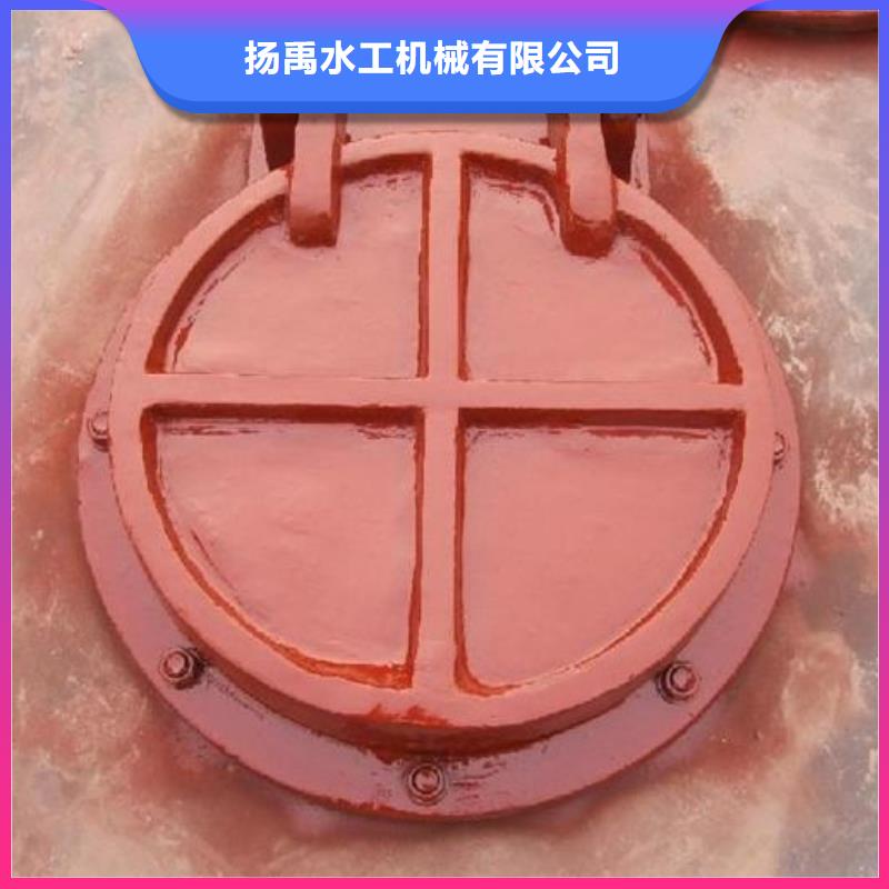 拍门拦污栅厂家供应