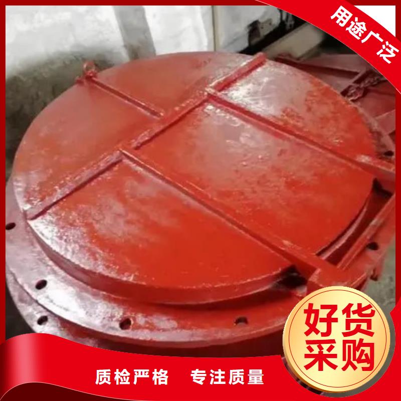 拍门【泵站铸铁闸门】精心选材