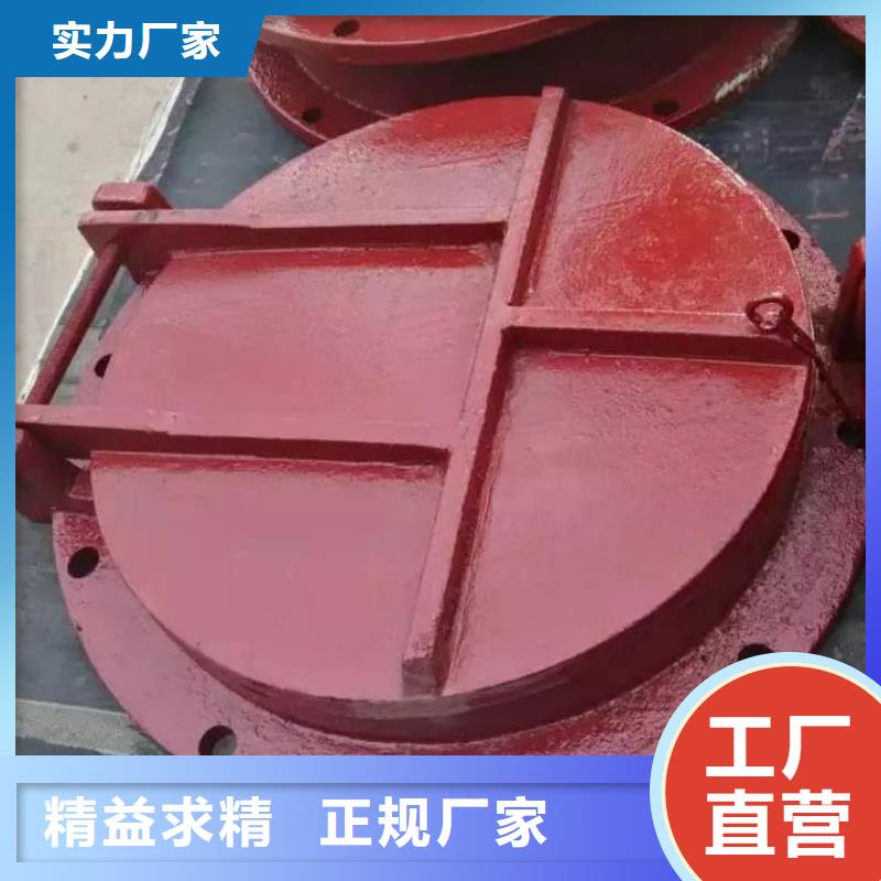 建水玻璃钢钢拍门DN800可定制