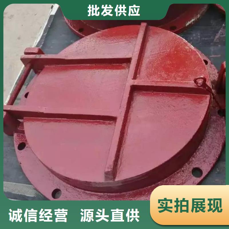 【拍门电动装置启闭机源头厂家供应】