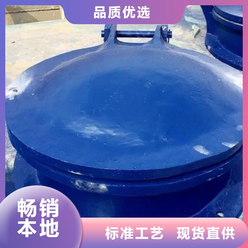 【拍门电动装置启闭机源头厂家供应】