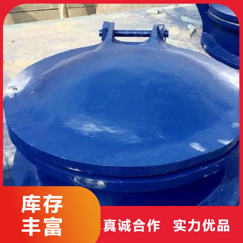 拍门闸门出货快