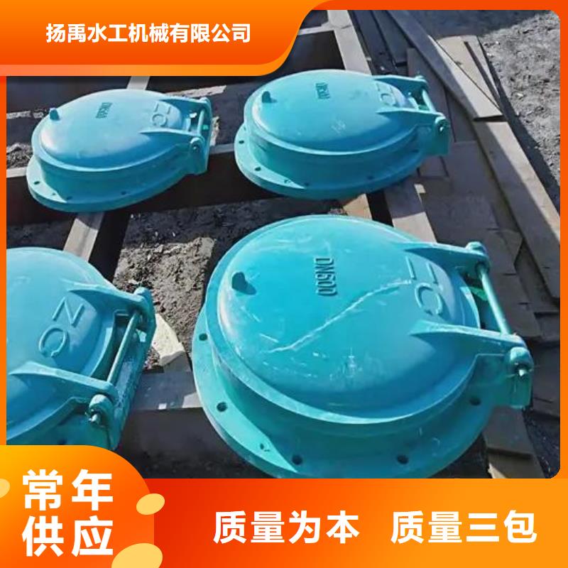 拍门-螺杆启闭机可定制