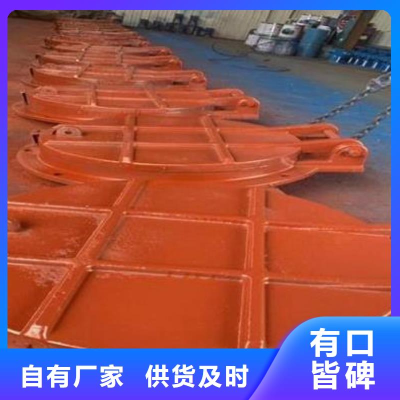 拍门拦污栅厂家供应