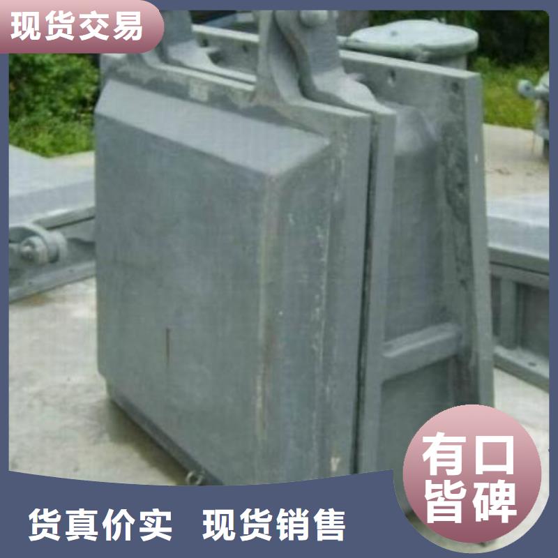 拍门,抓斗清污机优质材料厂家直销