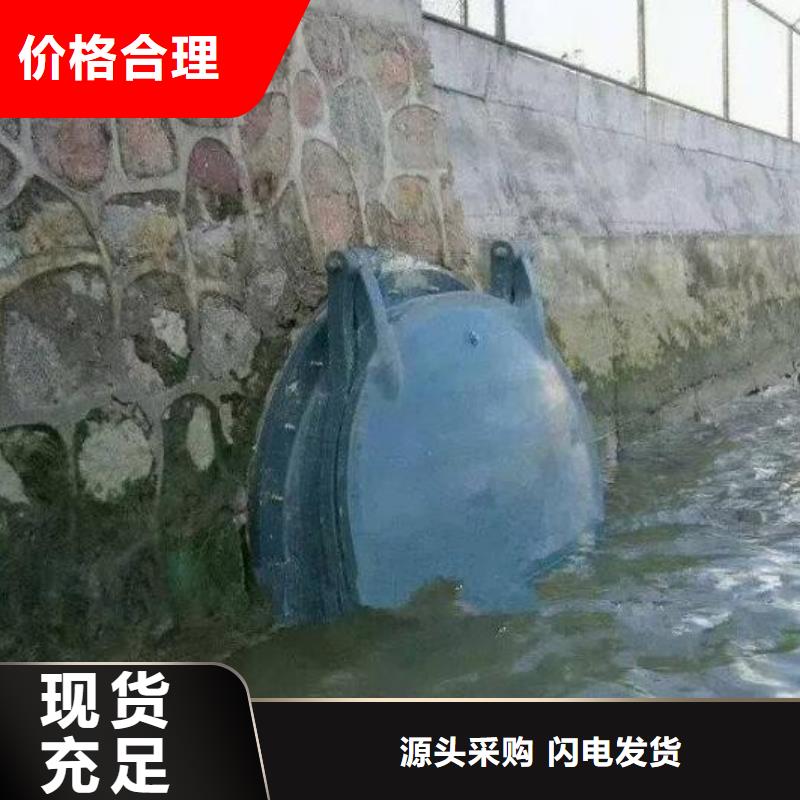 银海DN300铸铁拍门价格低