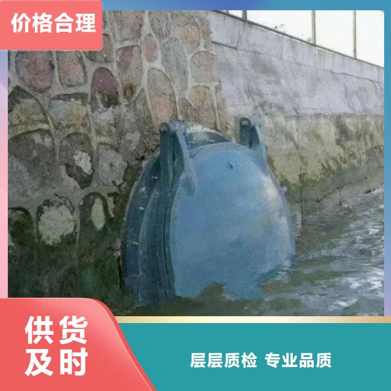 拍门厂家直销规格多样