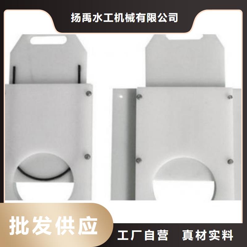 通山PVC塑料闸门dn200