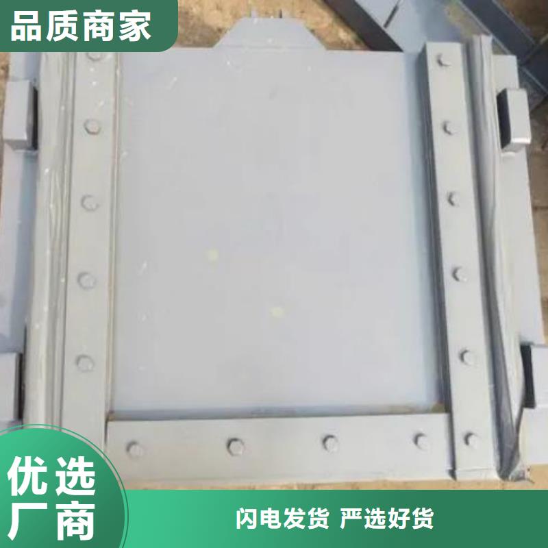 塑料闸门手提铸铁闸门按需定做