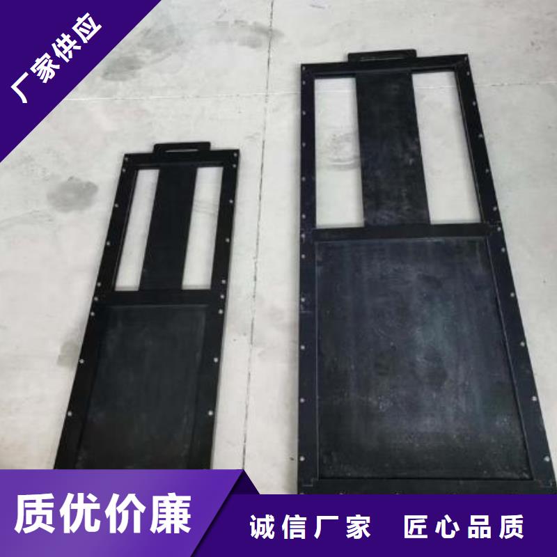 通山PVC塑料闸门dn200