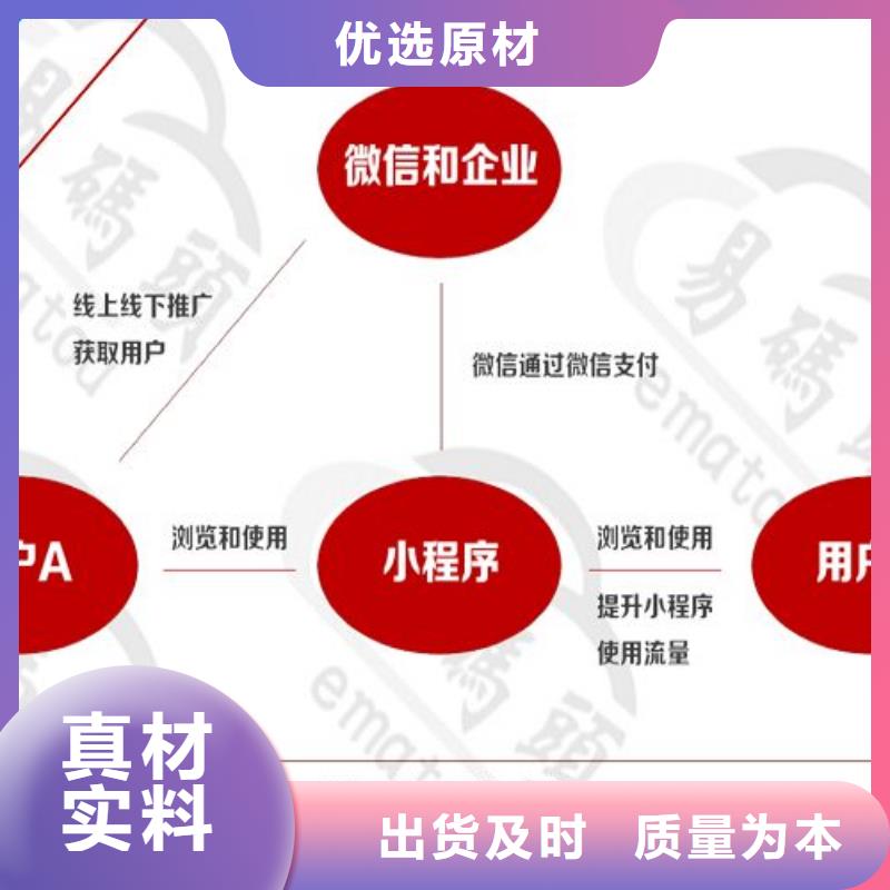 小程序软件特色定做