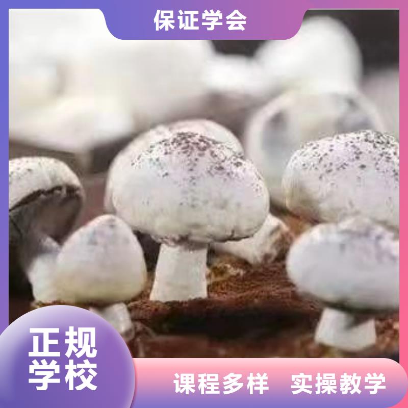 迁西西式面点培训技校去哪里包教包会