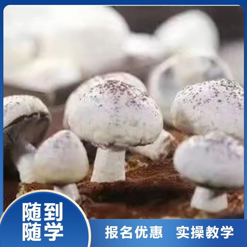 涉县糕点培训技校哪家强学费多少钱