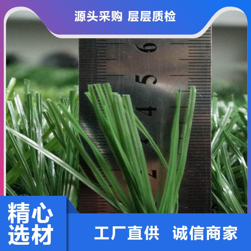 塑胶跑道,塑胶跑道厂家欢迎新老客户垂询