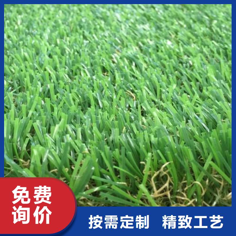 【塑胶跑道工程施工案例】