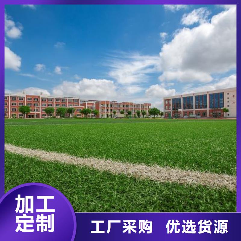 塑胶跑道硅PU球场厂家免费寄样