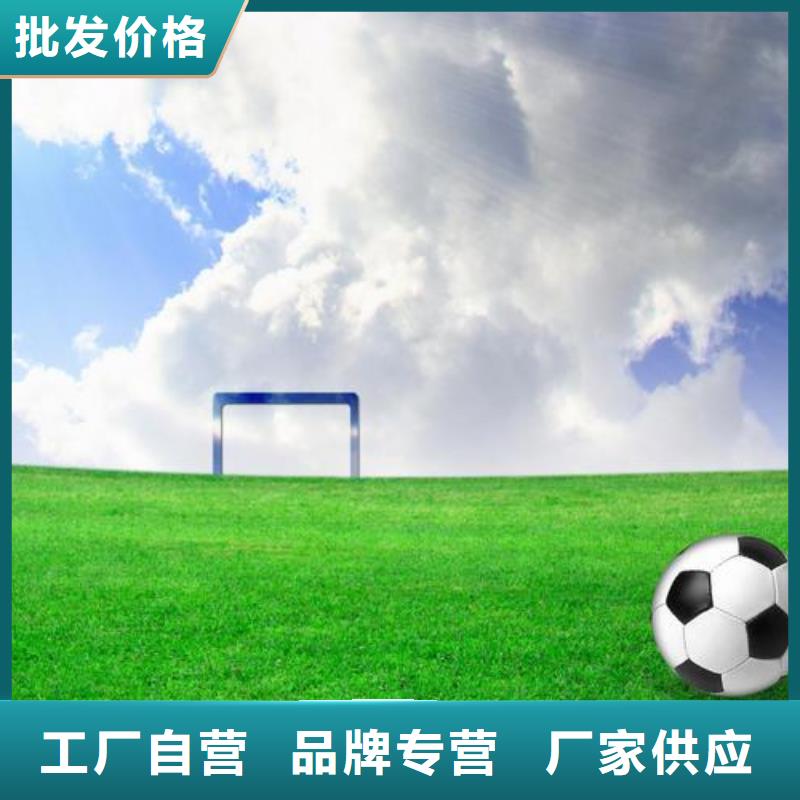 塑胶跑道行业优选