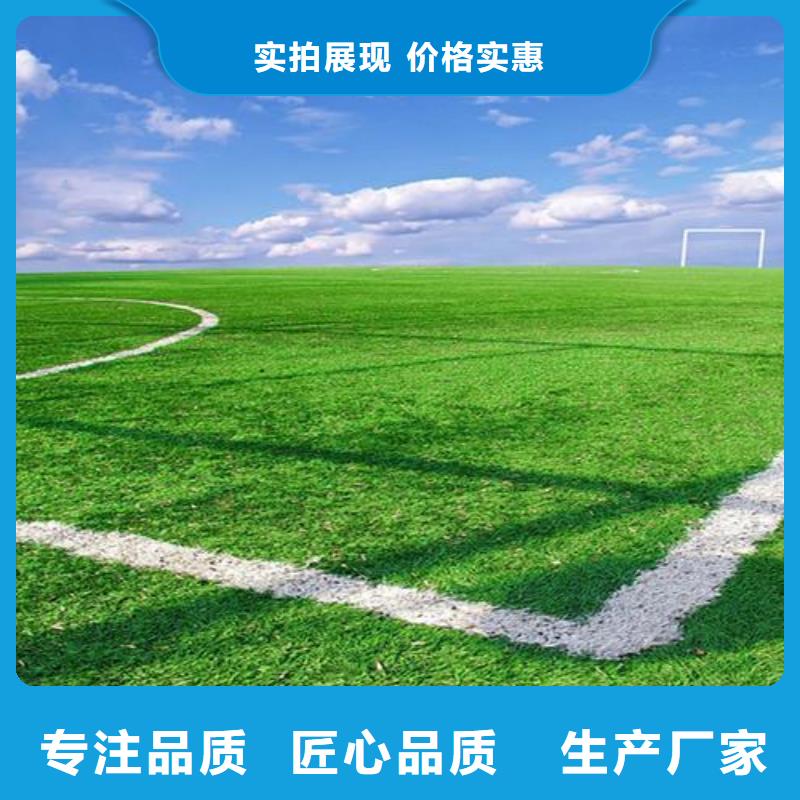 塑胶跑道校园塑胶跑道您身边的厂家