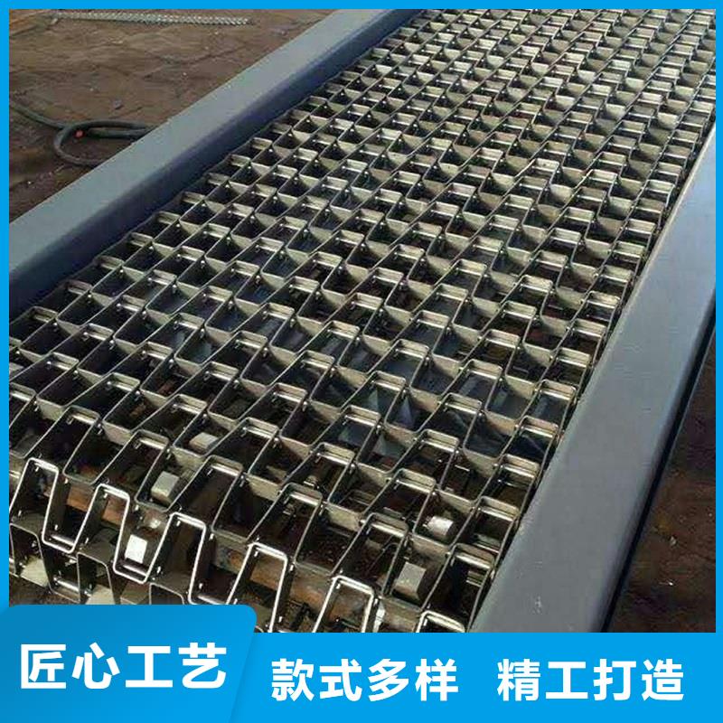 304不锈钢网带输送机生产