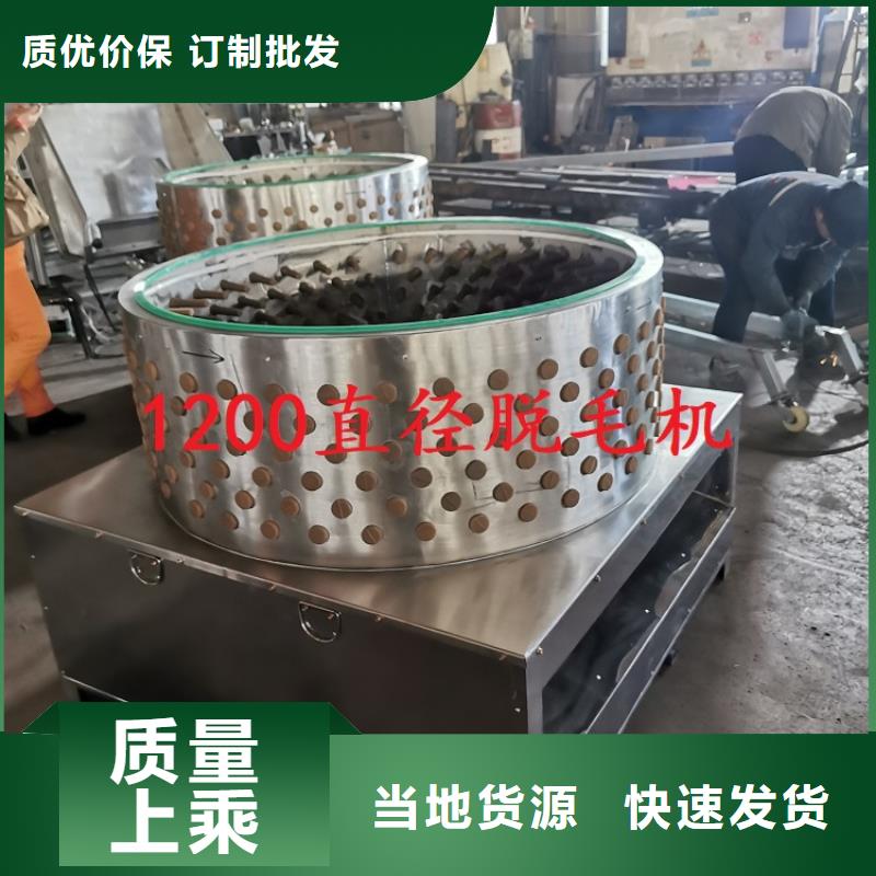 猪脱毛机器施工厂家