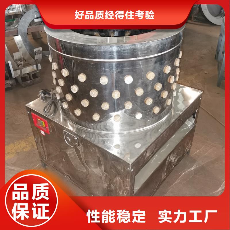 杀狗脱毛机全国配送厂家