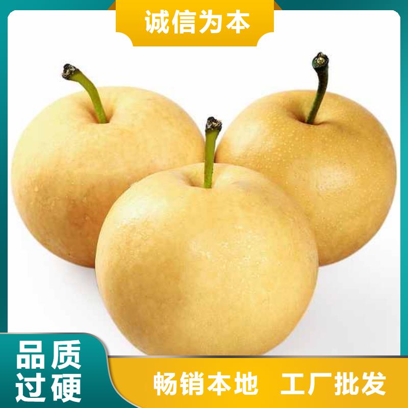 梨_【玉露香梨树苗】货到付款