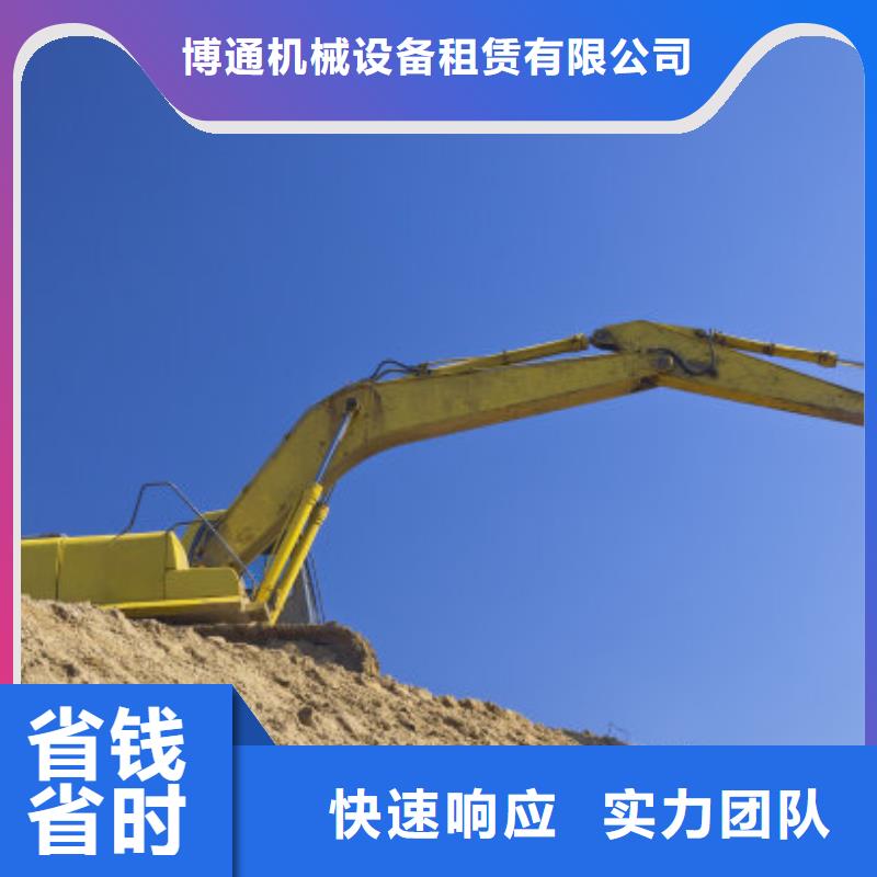 挖掘机,【加长挖掘机租赁】实力公司