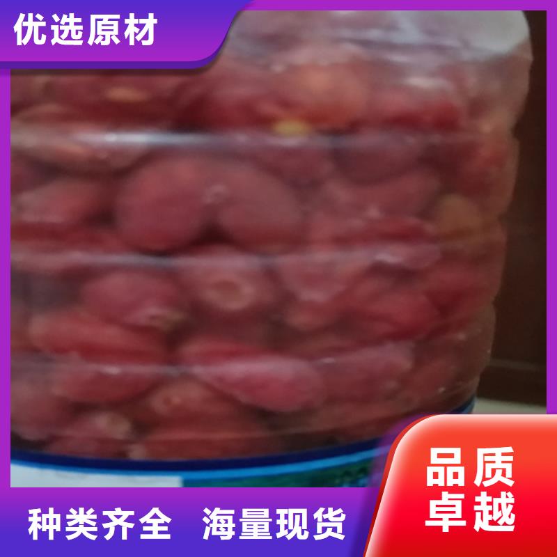 杈杷果苗量多优惠