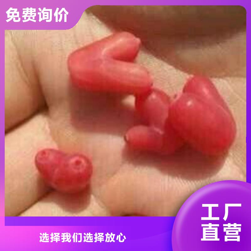 杈杷果批发