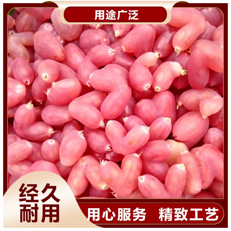 杈杷果苗种植管理技术