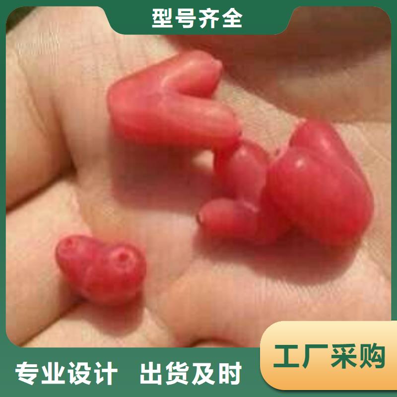 杈杷果批发