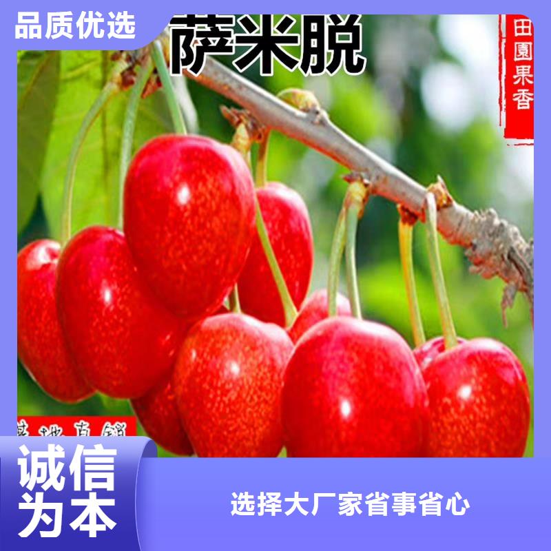 车厘子种植管理技术