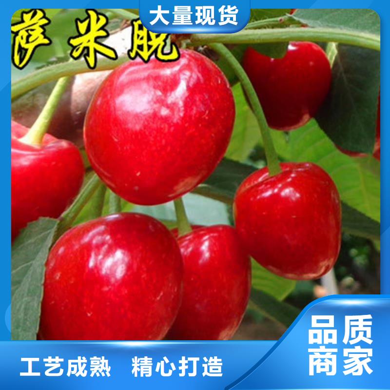 车厘子量多优惠