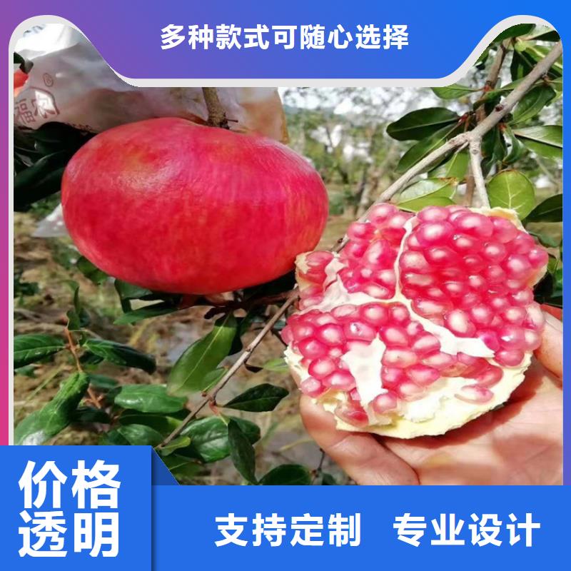 石榴树基地直销
