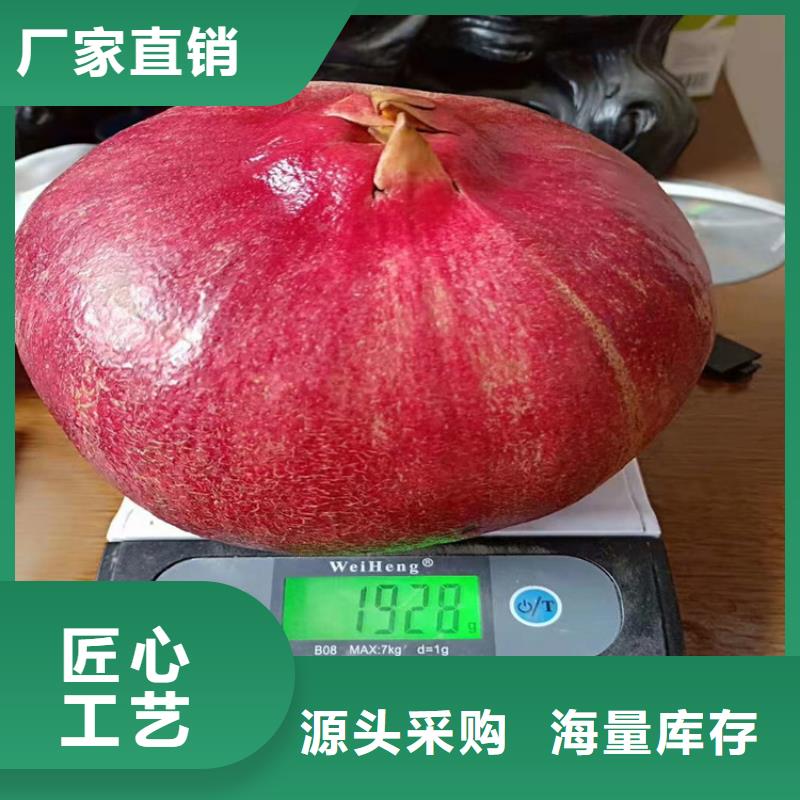 石榴嘎啦苹果实拍品质保障