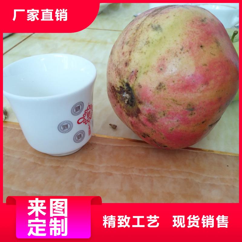 石榴梨树苗诚信经营质量保证