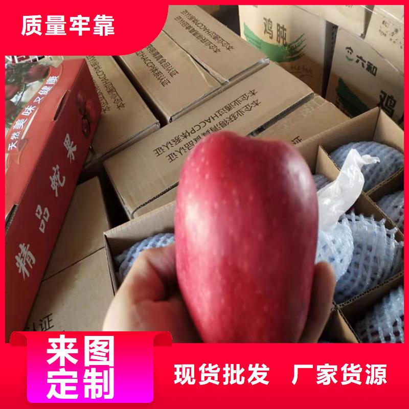 苹果樱桃苗打造行业品质