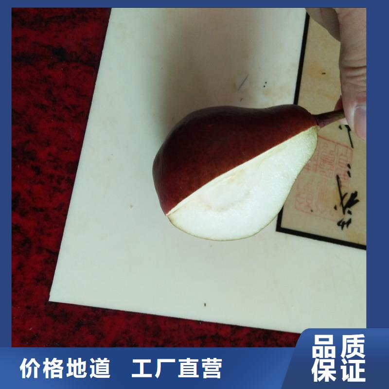 红梨苗怎么卖批发零售