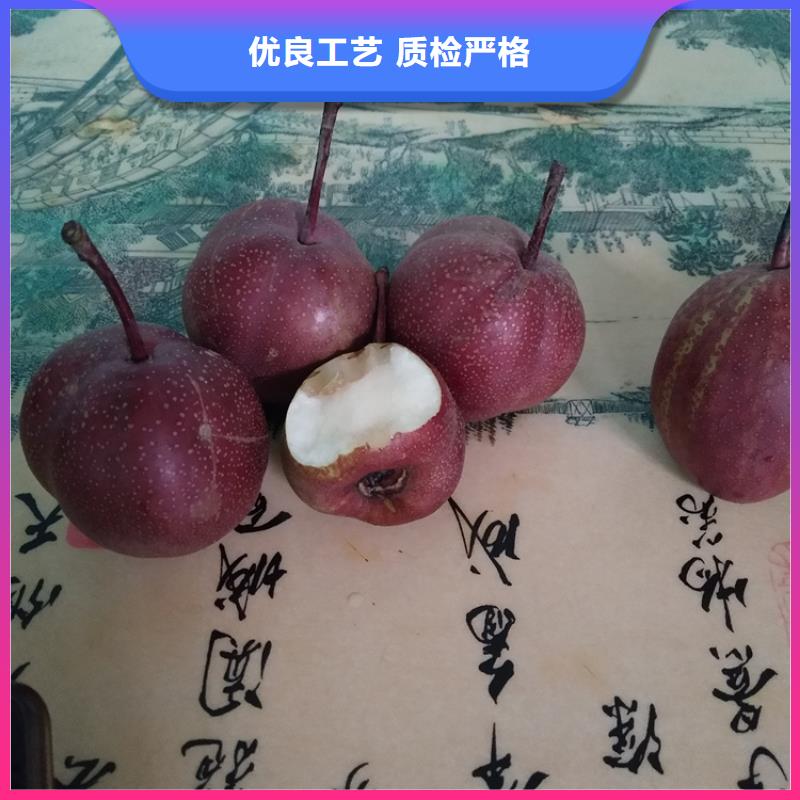 红梨树苗多少钱一棵