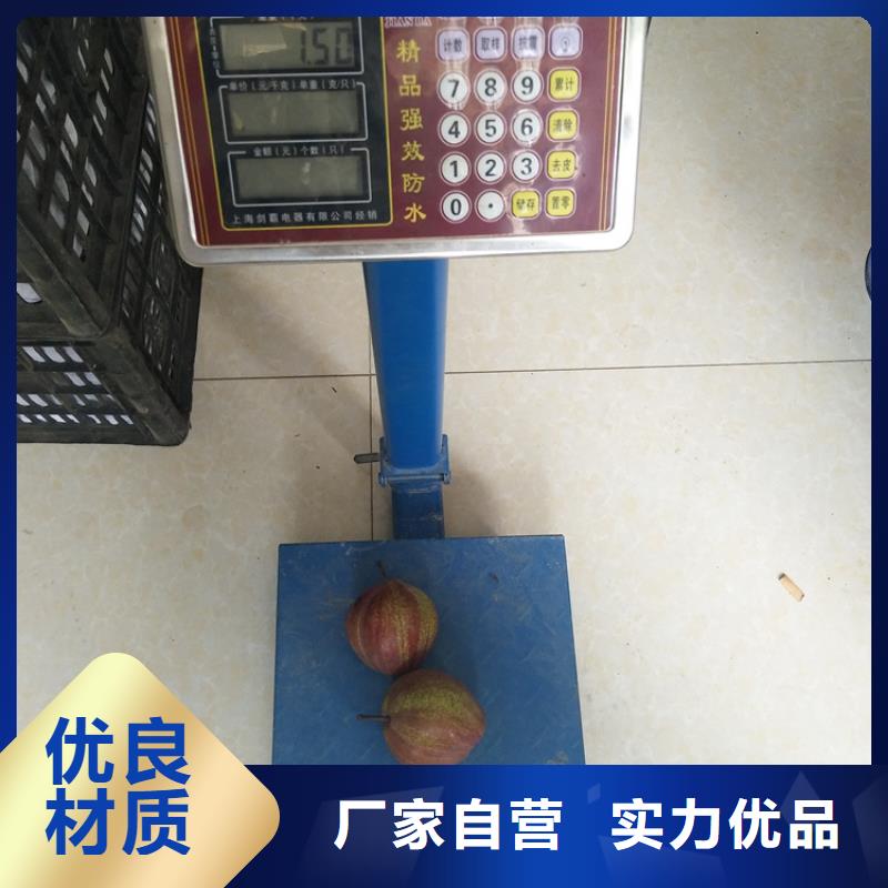 红梨树苗产量多少