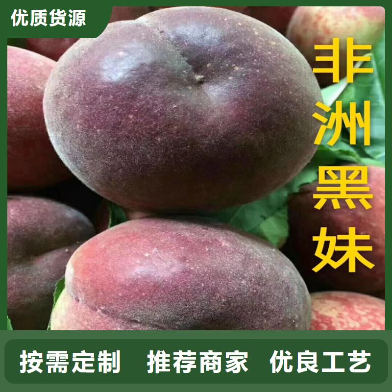 桃,西瓜苗厂家批发价