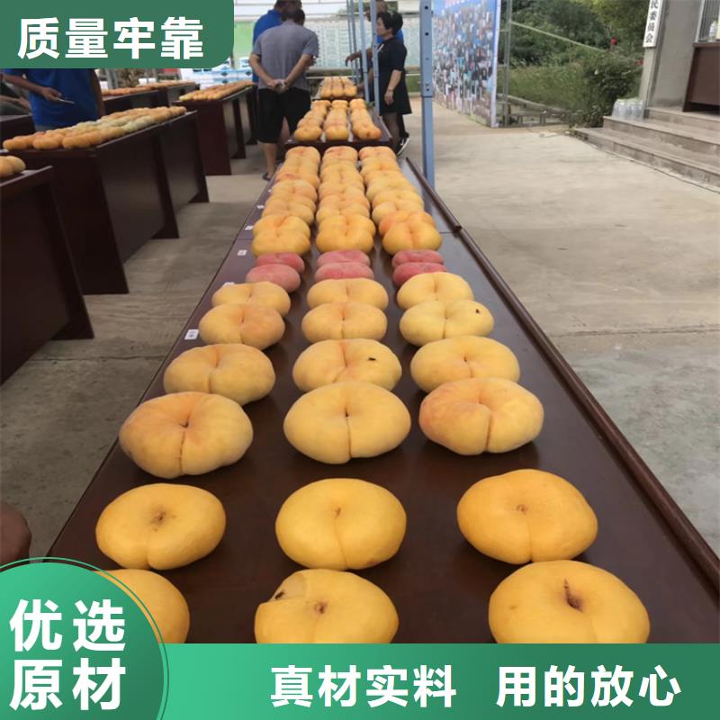 桃,西瓜苗国标检测放心购买