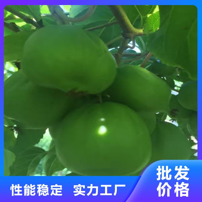 猕猴桃_玛瑙红石榴苗24小时下单发货