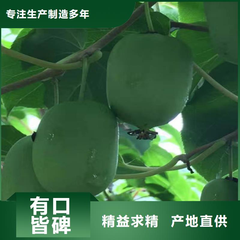 猕猴桃苹果苗多种规格供您选择