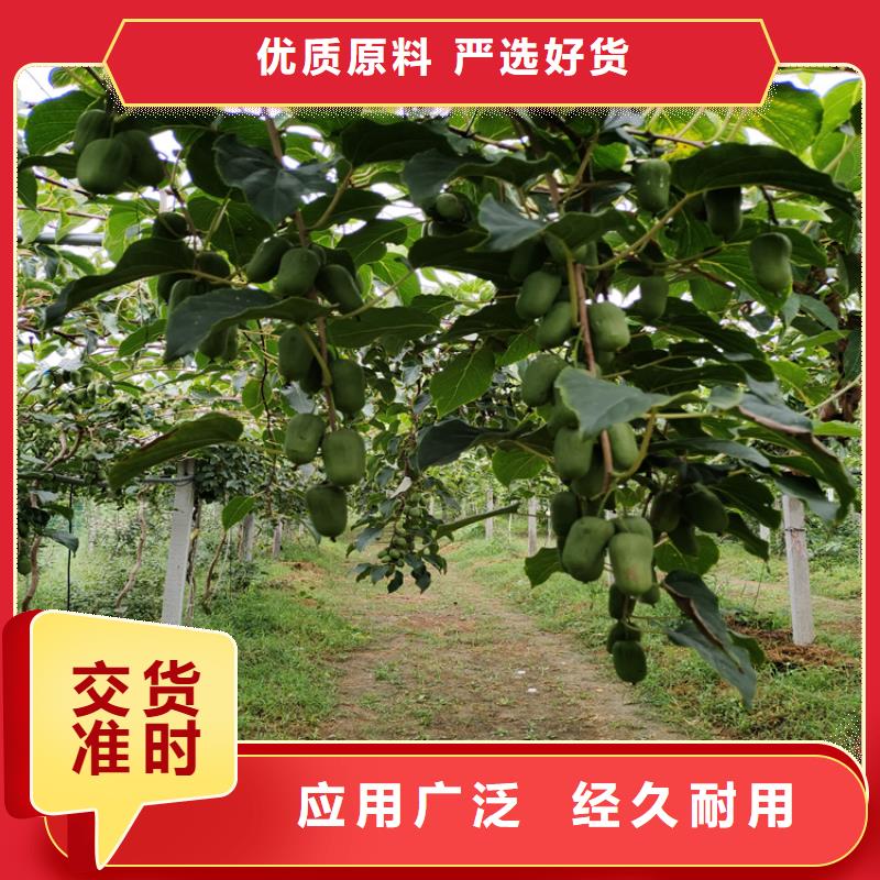 猕猴桃桃树苗精选优质材料