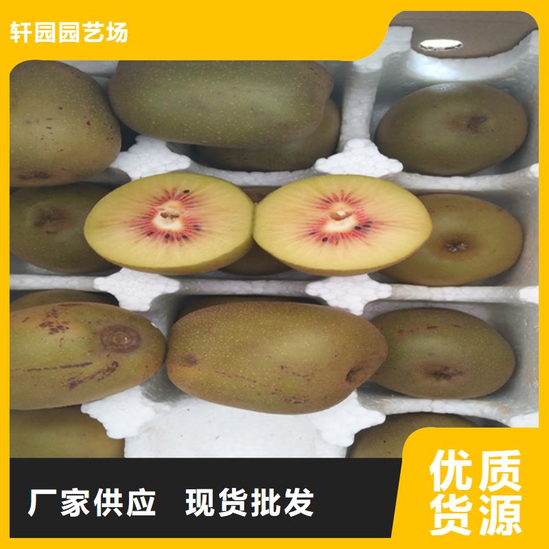 软枣猕猴桃苗嫁接方法及时间